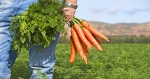 bruselas-eleva-25000-euros-ayudas-se-pueden-conceder-agricultores-sin-notificar-ue.jpg