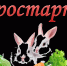 agrostartap-1140x610.png - Cортавальский район