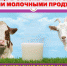 ПОМОЩЬ В ОБЕСПЕЧЕНИИ СЕМЬИ С ДЕТЬМИ МОЛОЧНЫМИ ПРОДУКТАМИ.jpg - Cортавальский район