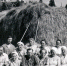 Заготовка сена. В центре – директор совхоза А.О. Дубровский  с полеводами. Фотография из группы https://vk.com/kraevedhelyla - Газета Ладога-Сортавала