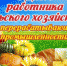 День агрария.jpg - Cортавальский район