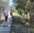 Участие в субботнике - Сортавальский городской суд