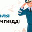 3 июля - День ГИБДД - Газета Ладога-Сортавала